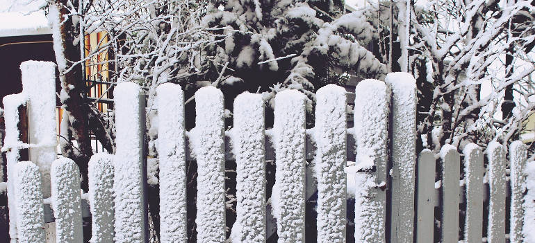 fence-winter-garden