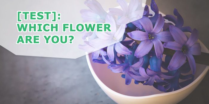你是哪朵花